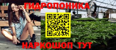 стафф Славгород
